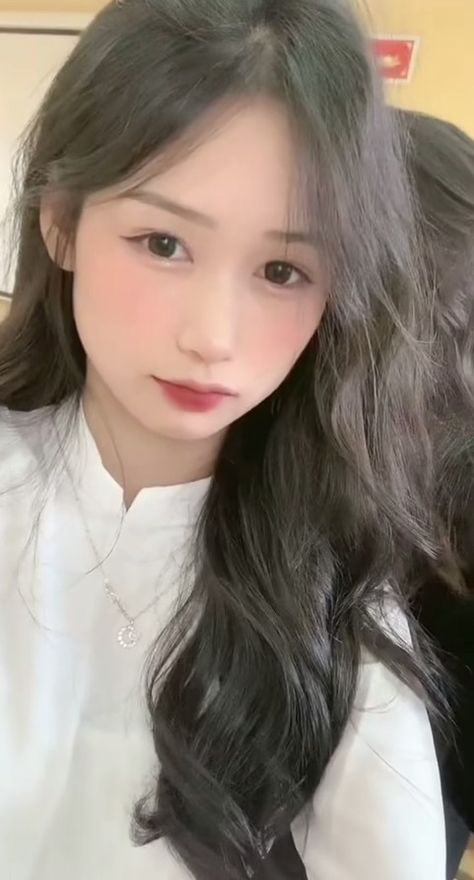 2024最新免费观看电视剧